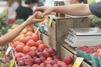 МТИ РК о стабилизации цен на основные продукты питания